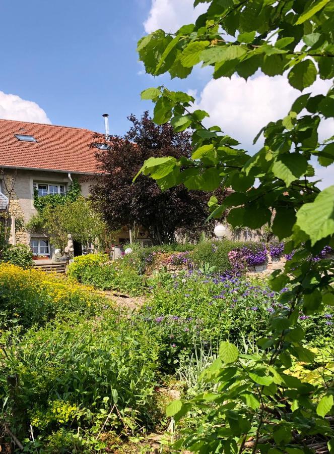 Le Clos Des Pommes Bioncourt Exteriör bild